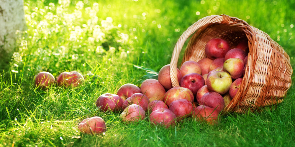 Regional und natürlich