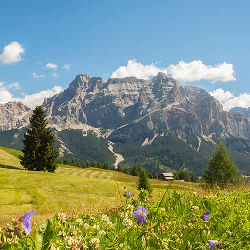 Alta Badia