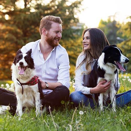 5 Sterne Hotels für Urlaub mit Hund